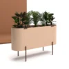 Mas Planter2 Mas Planter