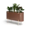 Mas Planter3 Mas Planter
